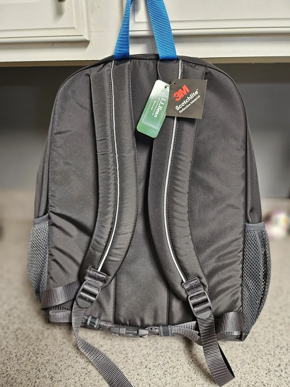 L.L. Bean Men's Black Backpack with Blue Accents